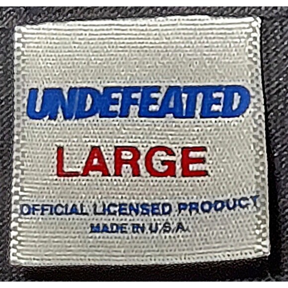 VTG UNDEFEATED Shirt Streetwear L Black Long Sleeve Center Chest Logo Light Fade - Picture 4 of 8